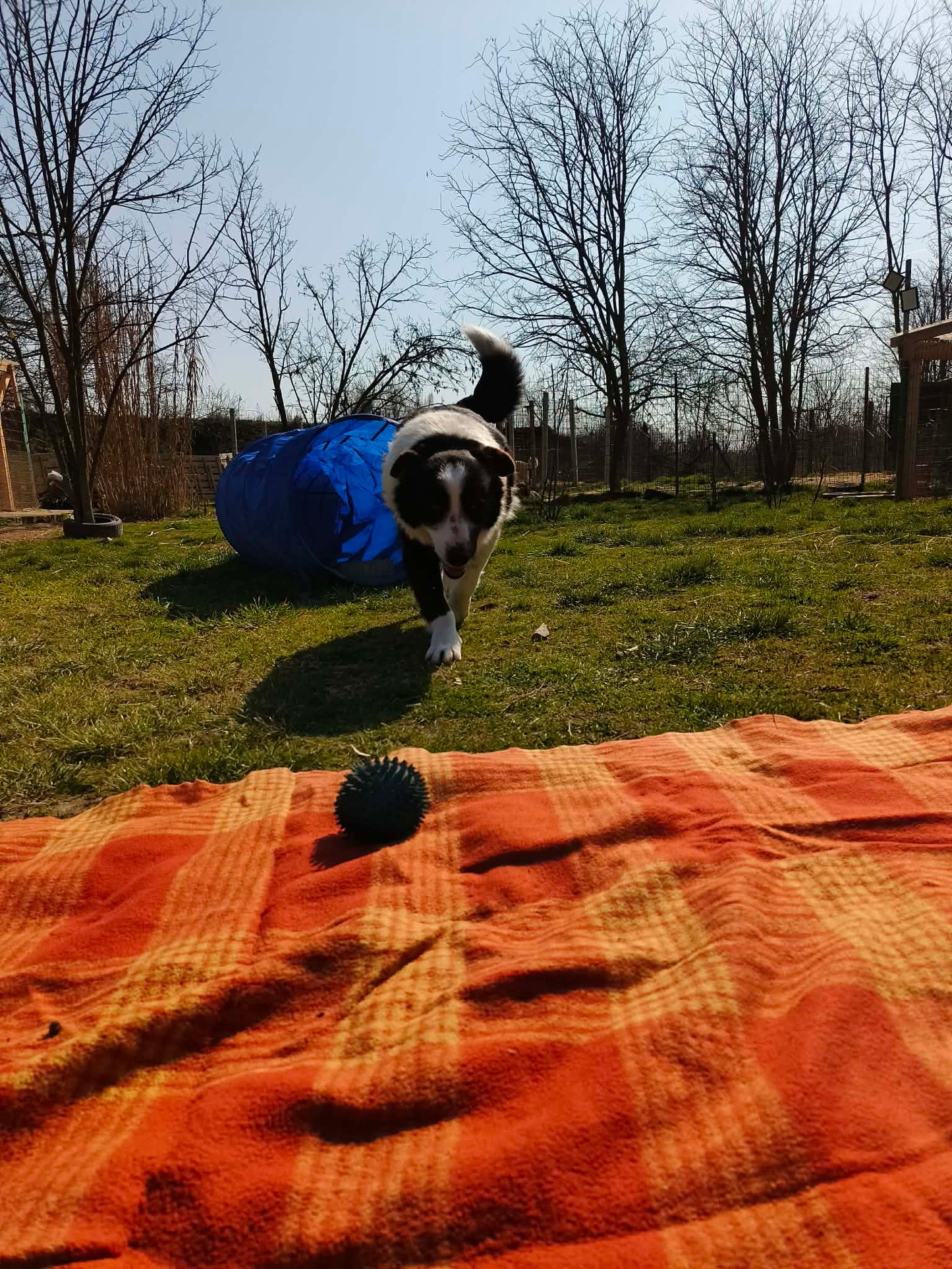 Etesd Meg Brúnót!