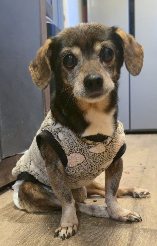 Etesd meg Szofikát!